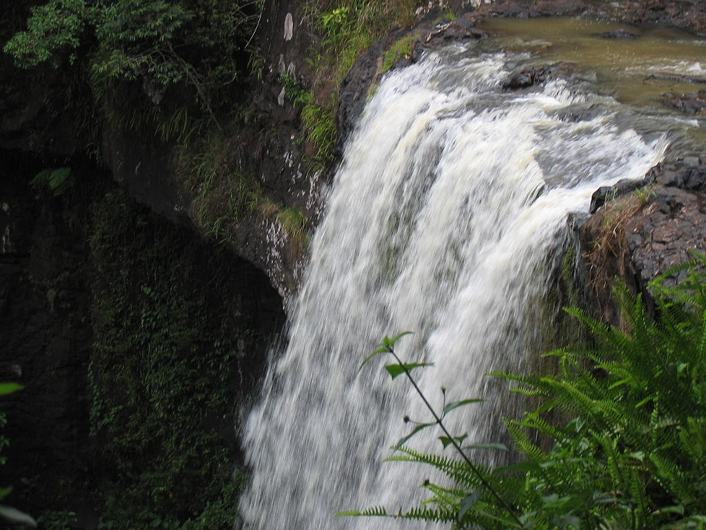 CairnsTC413 Tablelands.jpg